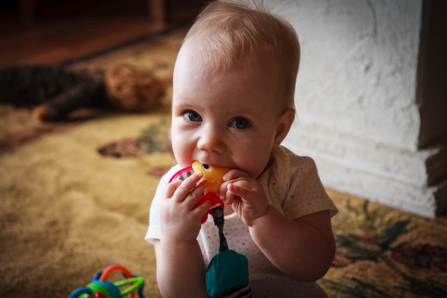 Sonja eating her toys